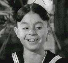 Alfalfa gip.jpg