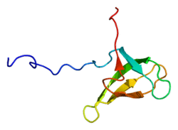 Protein LBR PDB 2dig.png