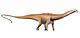 Diplodocus carnegii flipped.jpg