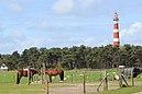 2012-05-05 Ameland 16.JPG