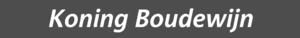 (STIB-MIVB) naambord Koning Boudewijn.png