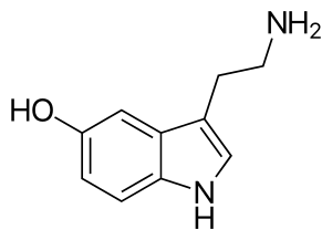 Serotonin-2D-skeletal.svg