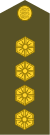 ES-Army-OF14.svg