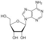 Adenosin.svg