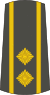 13-Serbian Army-LTC.svg