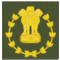 Regimental Quartermaster Havildar.gif