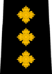 Calgary Police - Inspector.png