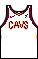 Kit body clevelandcavaliers association.png