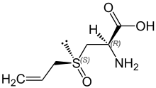 Alliin skeletal view