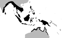 Crocodylus porosus range.png