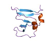 PDB 1vcc EBI.jpg