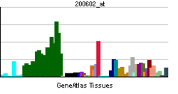 PBB GE APP 200602 at.png