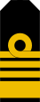 POL PMW pagon1 komandor.svg