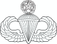 Master Parachutist badge (United States).svg