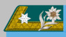 Kadett-Offiziersstellvertreter k.k. Gebirgstruppe 1907-08.png