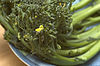 Broccolini.jpg