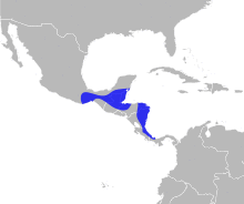 Manacus candei distribution.svg