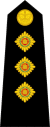 Captain