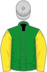 Green, yellow sleeves, light grey cap