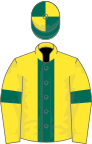 Yellow, dark green stripe and armlets, dark green and yellow quartered cap