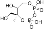 2-C-Methyl-D-erythritol-2,4-cyclopyrophosphate.png