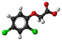 Ball-and-stick model of 2,4-dichlorophenoxyacetic acid