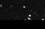 2003 J 10 Gladman CFHT crop.gif