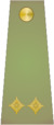 OR-3 Podnarednik 1908-1945.PNG