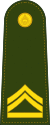 Master Sergeant 2nd Class