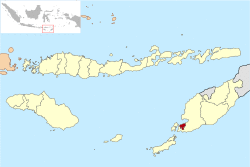 Location within East Nusa Tenggara