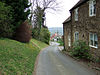 Street scene with a narrow road with houses on the right and trees on the left.