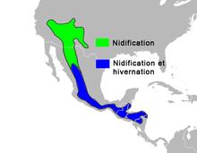 DendroicaGraciaeMap.png