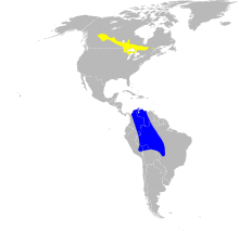 Oporornis agilis map.svg