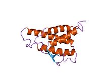 PDB 1itm EBI.jpg