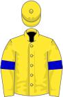 Yellow, soft blue belt, yellow sleeves, soft blue armlets, soft blue cap