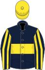 Dark blue, yellow hoop, striped sleeves, yellow cap