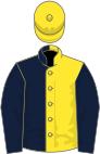 Dark blue and yellow (halved), dark blue sleeves, yellow cap