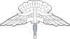 USAF - Occupational Badge - High Altitude Low Opening.svg