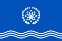 Flag of Obninsk