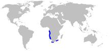 Chlamydoselachus africana distmap.png