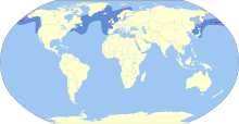 Uria aalge map.svg