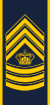 Denmark-DEMA-Chefsergent.svg