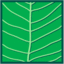 Leaf morphology pinnate.png