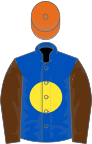 Royal blue, yellow disc, brown sleeves, orange cap