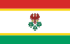 Flag of Choszczno County