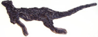 Scelidosaurus skeleton.png