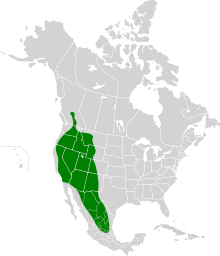 Euderma maculatum map.svg