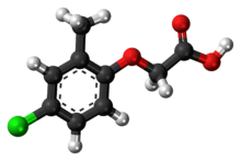 Ball-and-stick model of the MCPA molecule