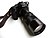 Nikon Lens on Canon Body- Vivitar 75-260mm ƒ4.5.jpg