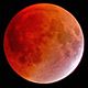 Lunar Eclipse.jpg